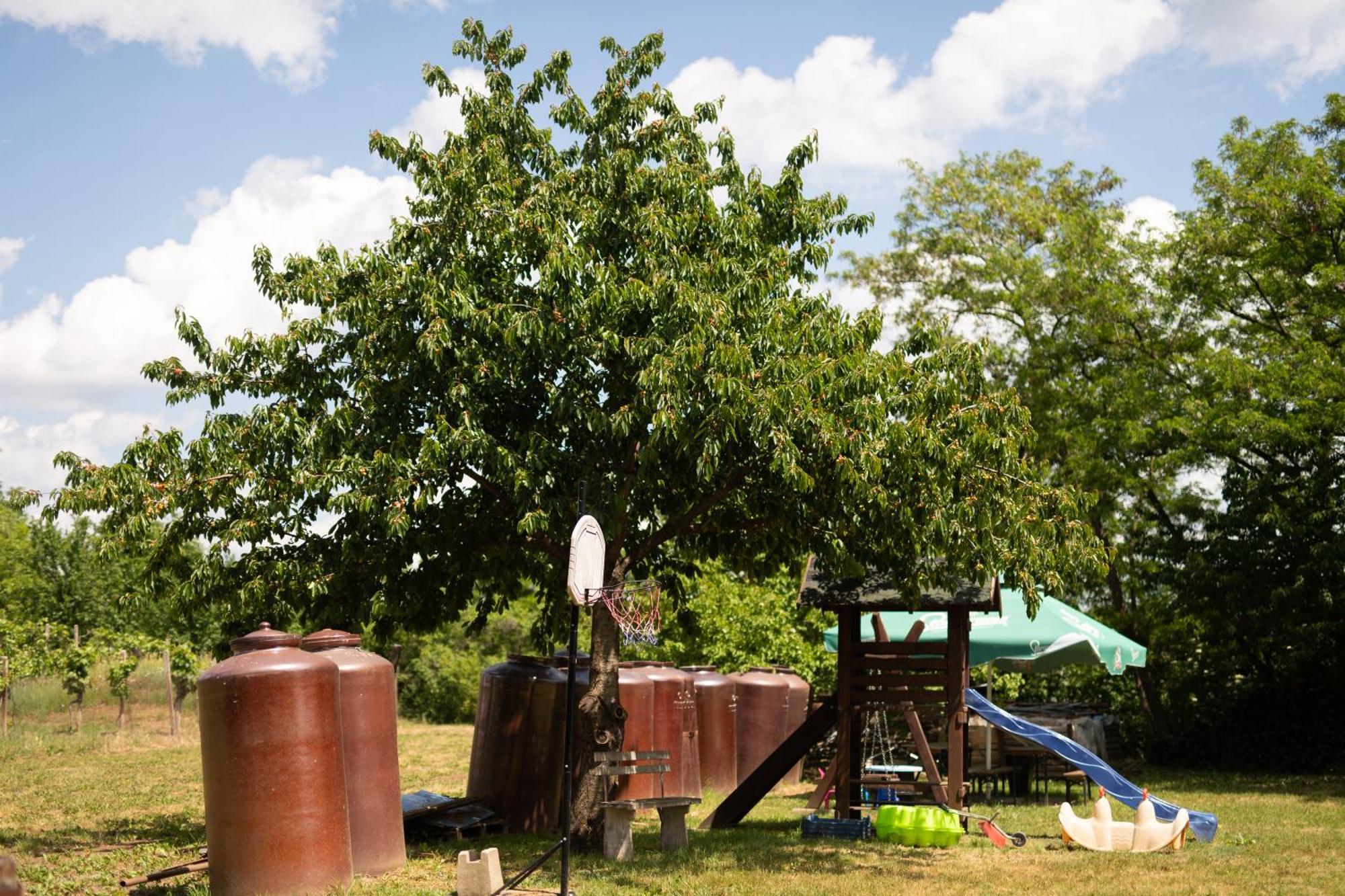 Penzion Nechorka Prušánky Buitenkant foto