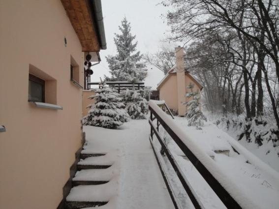 Penzion Nechorka Prušánky Buitenkant foto